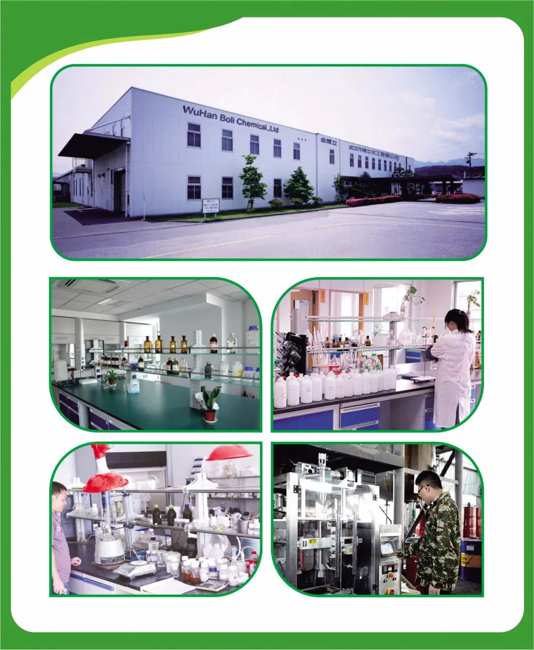 China Supplier GBL Wallpaper Adhesive Glue Powder